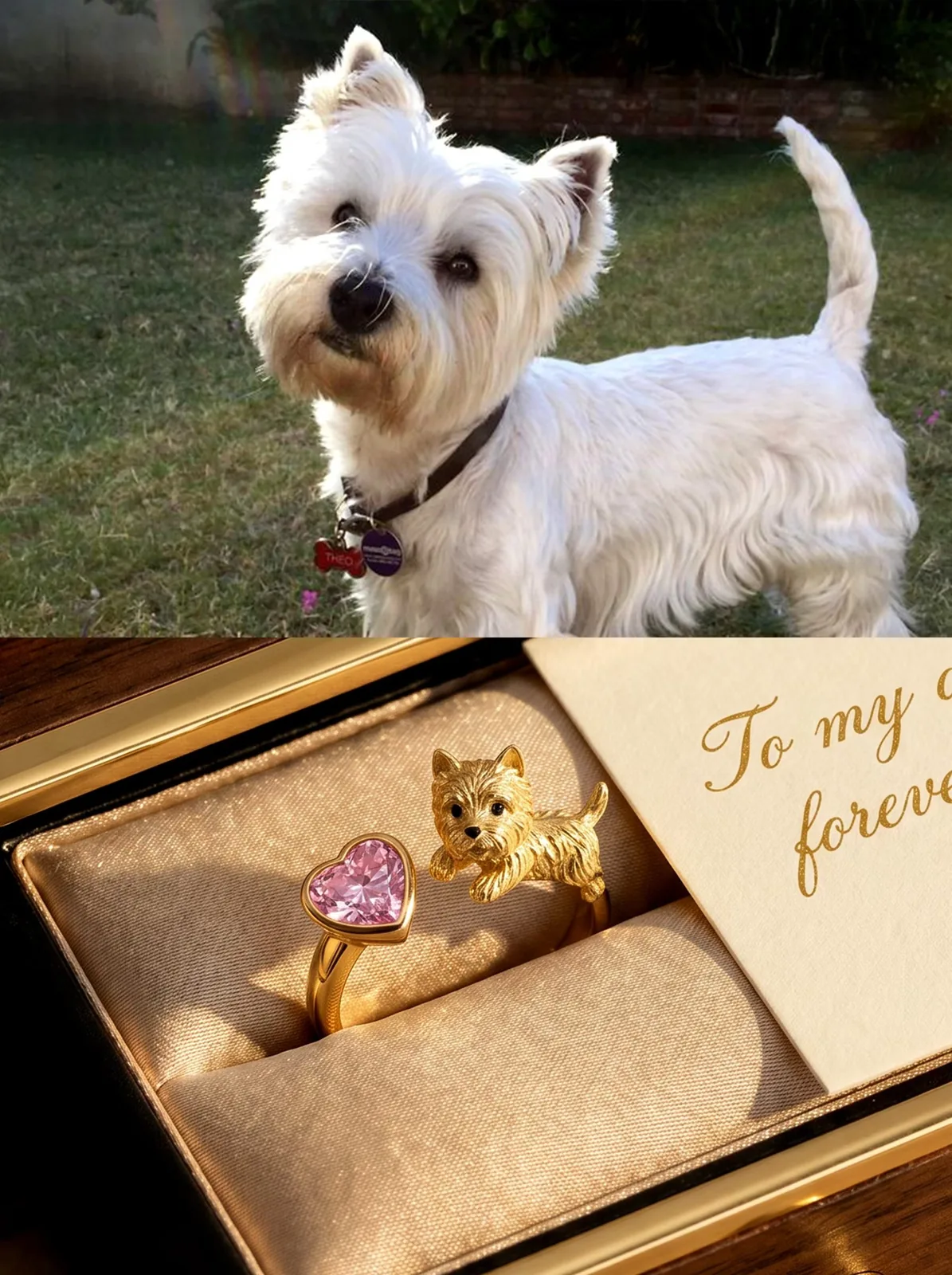 Custom pet jewelry studio case 08.