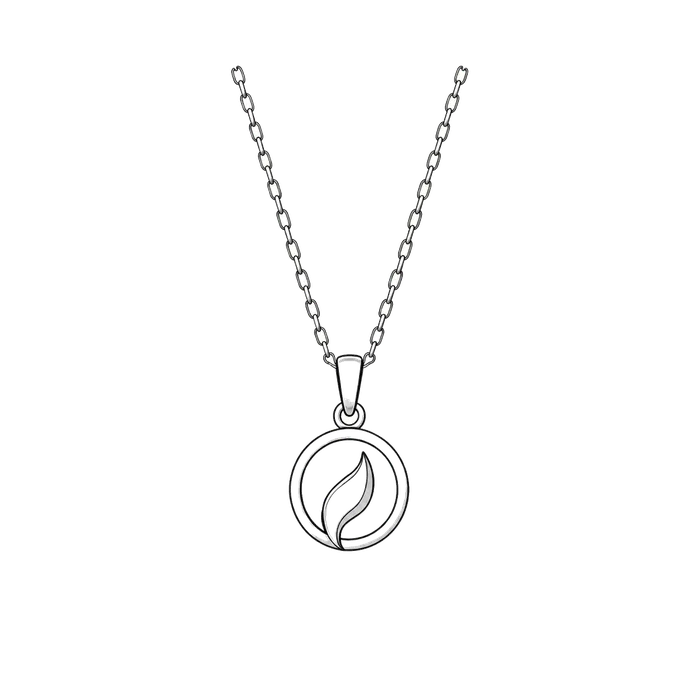 Custom pet jewelry necklace style.