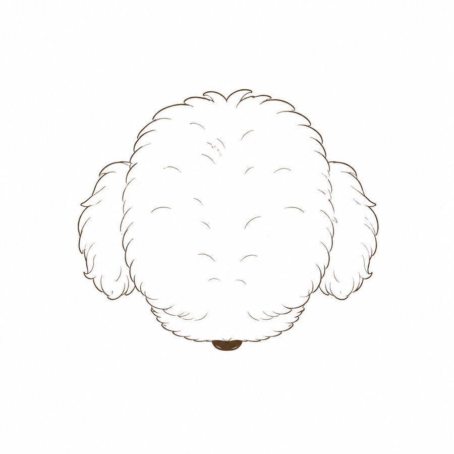 Top of head photo example.