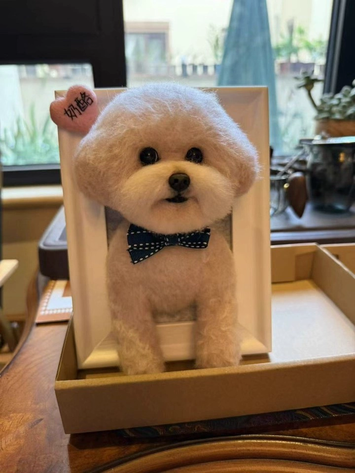 Handmade wool felt full body pet figure.