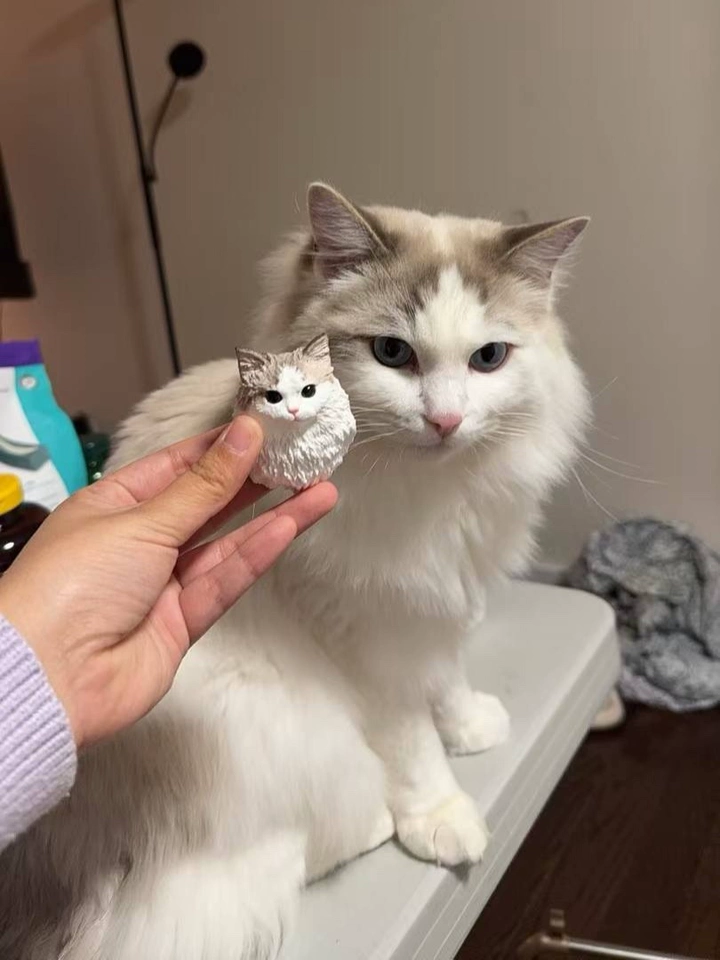 Custom Pet Portrait Magnet Frame