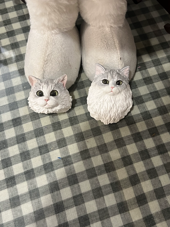 Custom Pet Portrait Magnet Frame