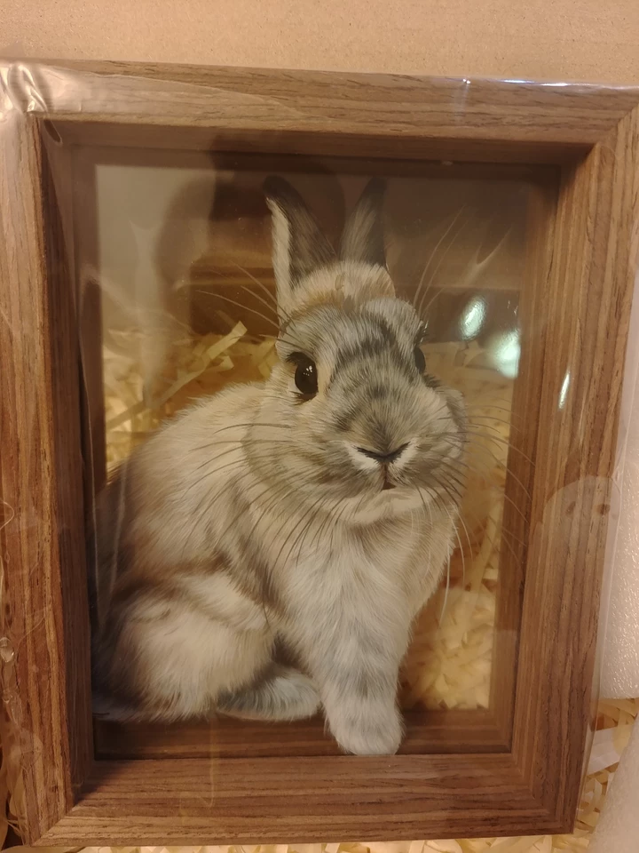 Custom Hand-Painted Pet Portrait Frame