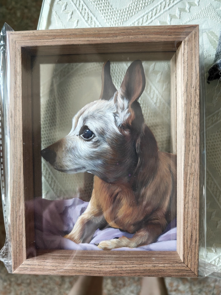 Custom Hand-Painted Pet Portrait Frame