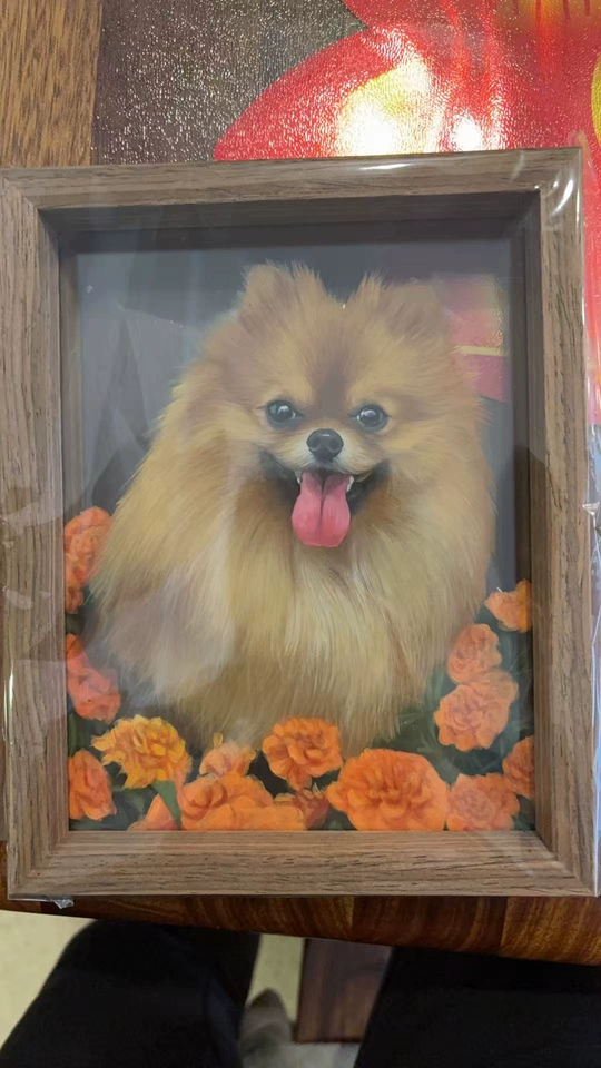 Custom Hand-Painted Pet Portrait Frame