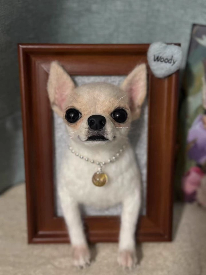 Custom Wool Felt Pet Sculpture