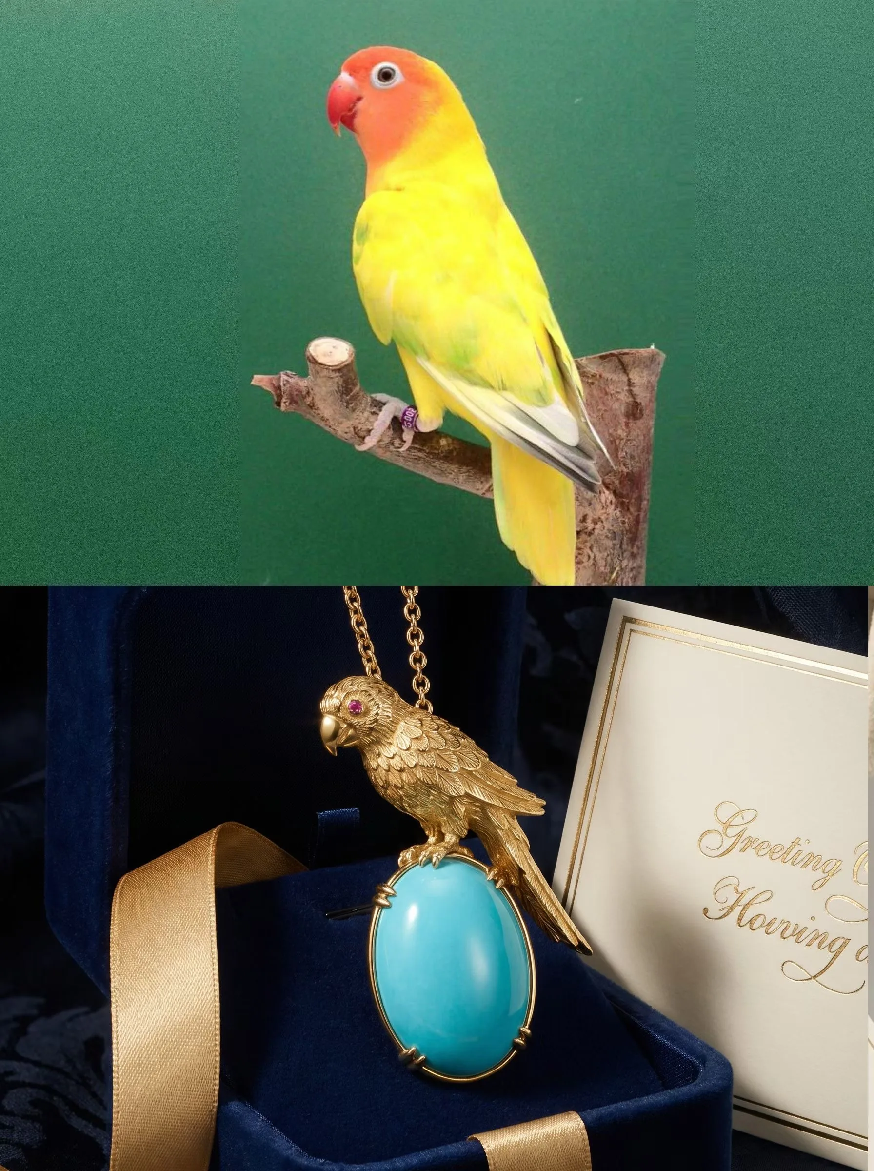 Custom Pet Jewelry