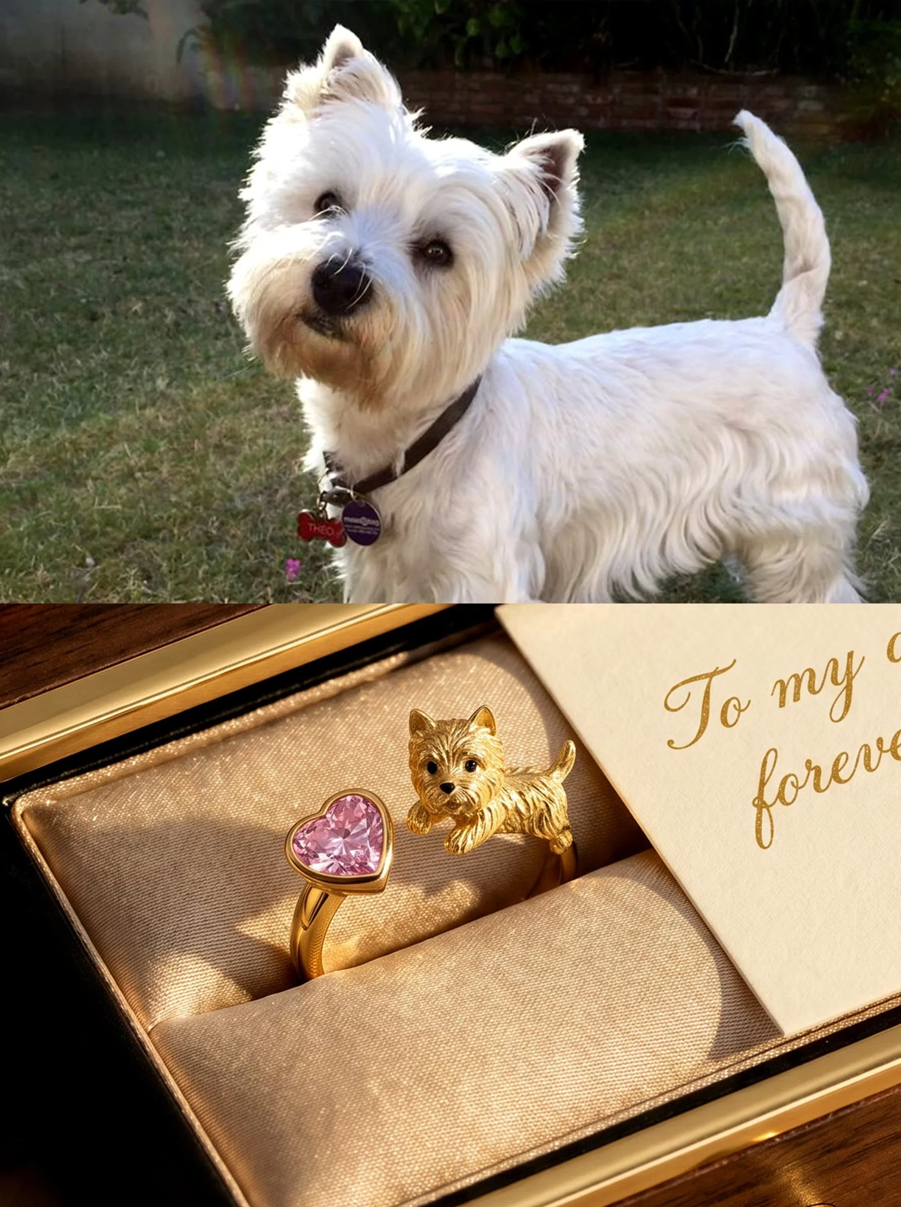 Custom Pet Jewelry